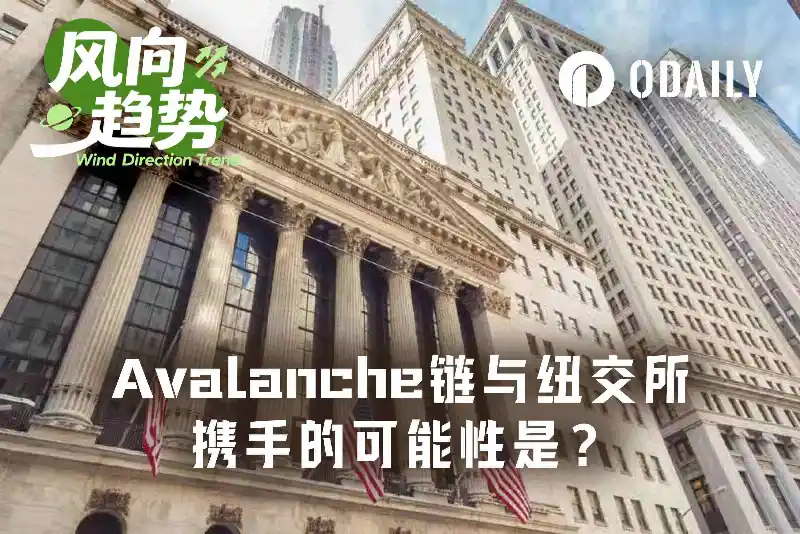 密测一年，Avalanche成ICE“钦点”代币化链？