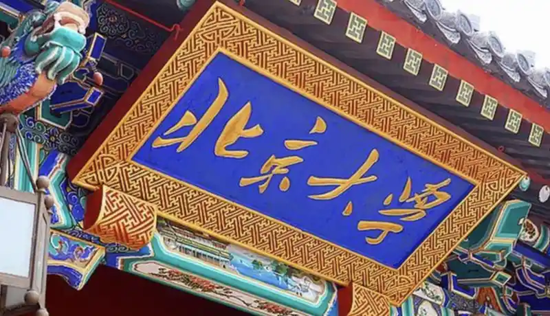 朱啸虎北大演讲:AI技术平权后,创业公司靠什么活下来?