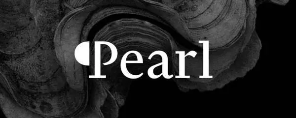 L2遇冷，PoW+AI崛起？解析TOKEN2049焦点项目Pearl